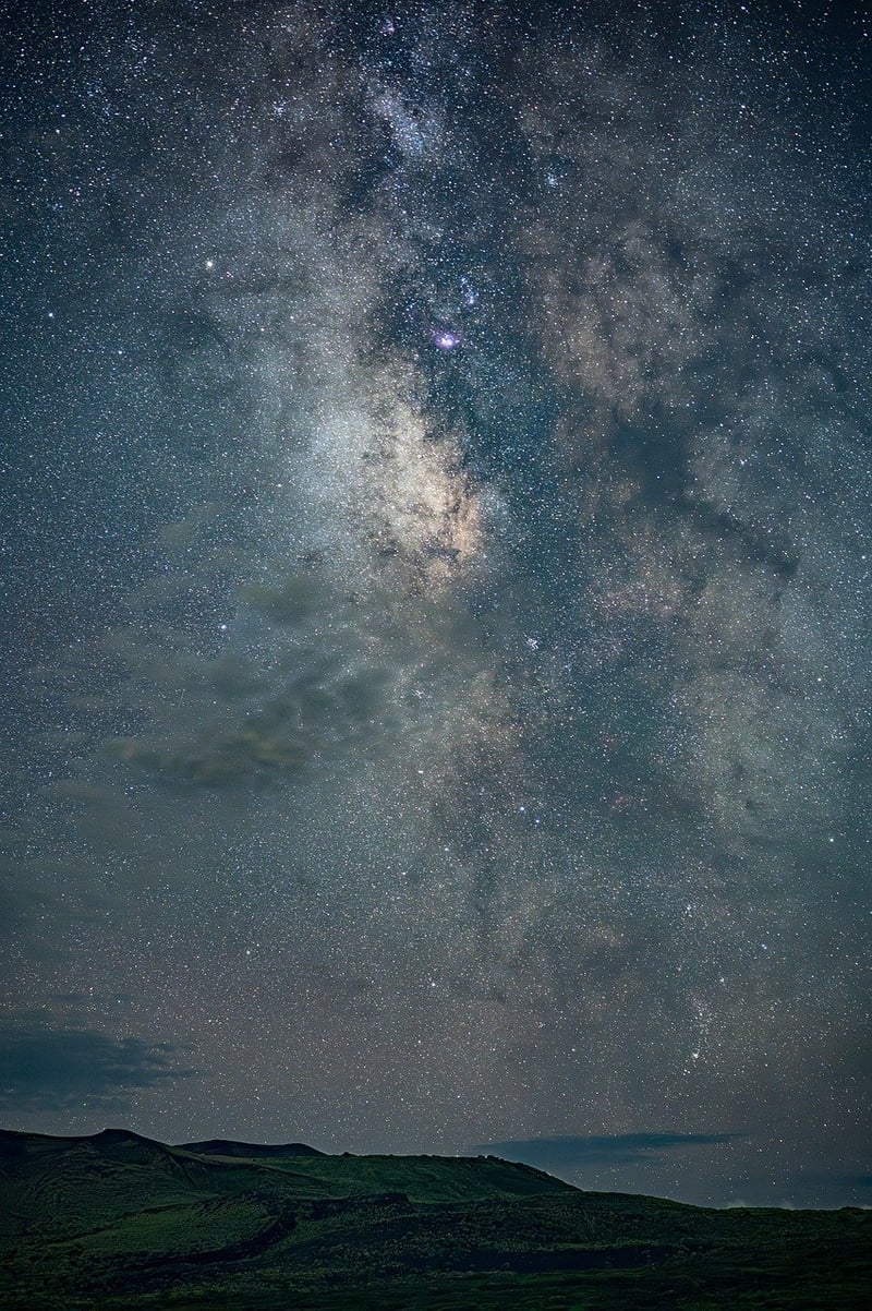 Starlit Meadows