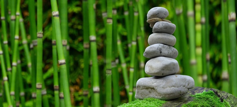 Japanese Zen Garden