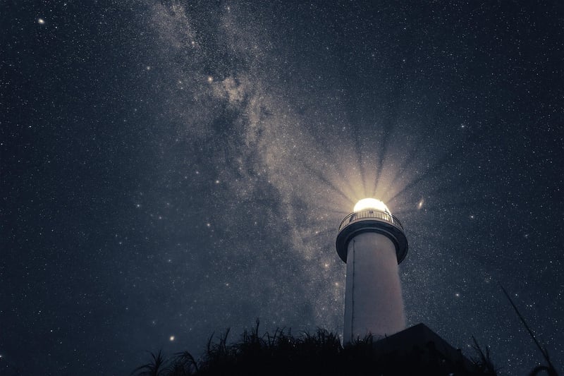 Starlit Meadows