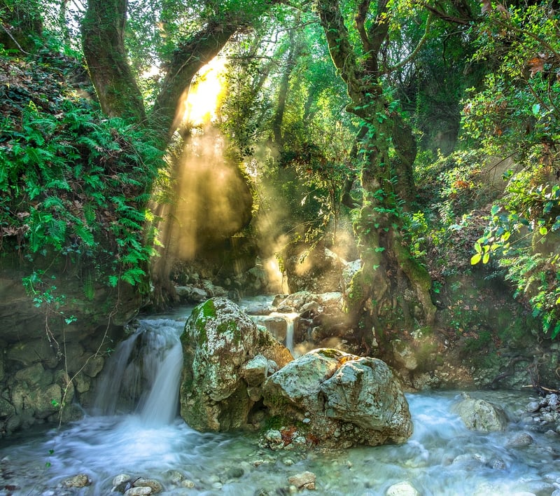 Secret Waterfall Garden